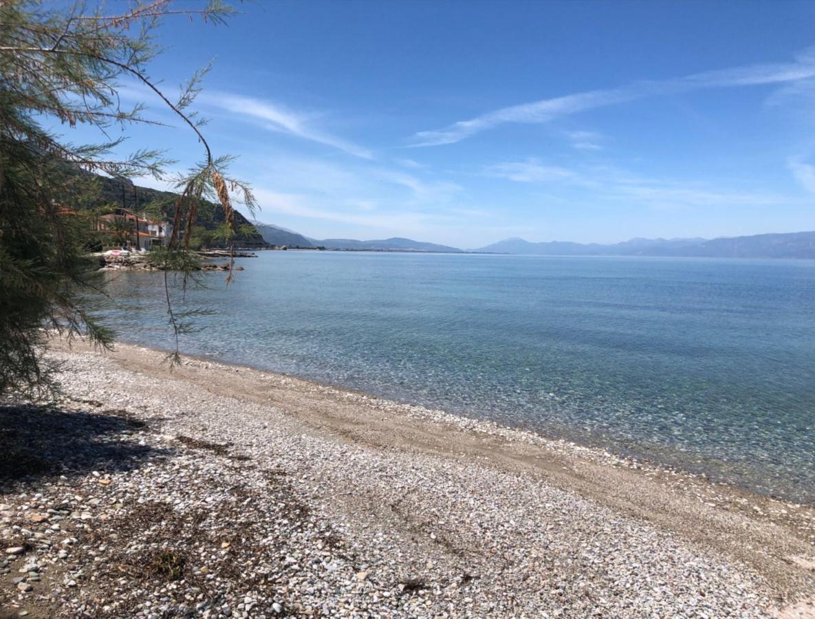 Paralia Platanou Seaview House Dış mekan fotoğraf